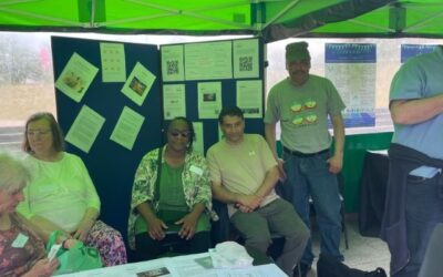 Members experiences of Suresearch